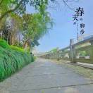 王松杰