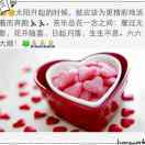 蚂蚁过河， 老秦