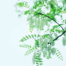 蜗牛麻麻的个人空间