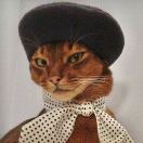 null转租&房东直租