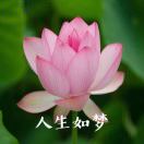 李先生的头像