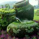 👉绿园韵茶业👍