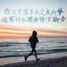 罗先生的头像