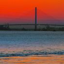 Rainbow_341