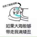 马先生的头像