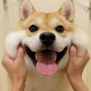 与世不争