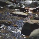 曲沃移動(dòng)陳愛民