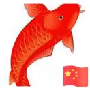 鱼儿