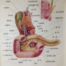 政