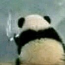 好的好的呀