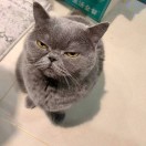 HikW的头像-棉花糖会员站