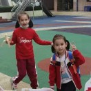 葬花的演奏视频