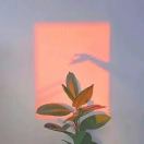 用户头标
