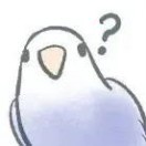 没有