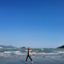 髦髦虫