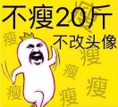 支女士的头像