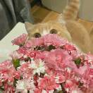 小余转晴