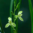 红人的头像-传承国学正统持焰学堂