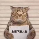 小白贸易（开工中） 的封面