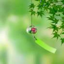 季维星