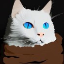 softbug's Avatar