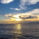 蒋增强的头像-秀琴曲谱网