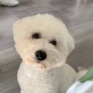 王能能Vicky