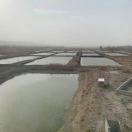 十年