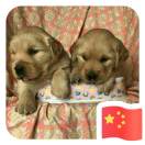 wx_彭新华52
