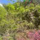 小鲍北京电脑维修（收售）数据恢复