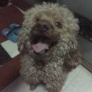 cymlan的头像-资源工坊