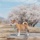 吴戈wigi