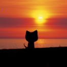 的头像-超级会员网