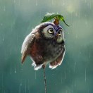 雨syxxiaoyu