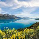 杨杨的头像-Studio Mars.AI