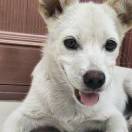 夏晨宇的头像-cg男孩