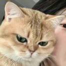 你的头发有点乱了的头像-STL下载网_3D打印模型网_3D模型库_3D打印模型素材_3D打印机