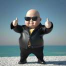 刘十一-WordPress主题模板-zibll子比主题