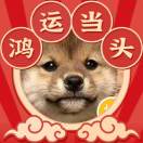 user icon
