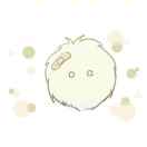 贝贝