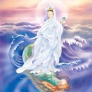 陈浩