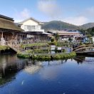 再不努力我们就老了🐎