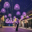 的头像-超级会员网