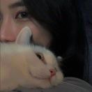 点赞头像