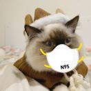 null转租&房东直租