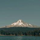 人间行(消息多,看到必回)的头像-优育邦