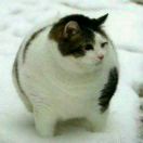 A👑钟湘₁₅₁ ₁₆₂₂₁₁₅₆