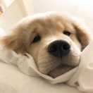 wx_不知道取什么名字的屑95