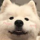 二是兔