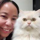 江心晴
